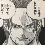 シャンクスまとめ